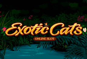 Exotic Cats