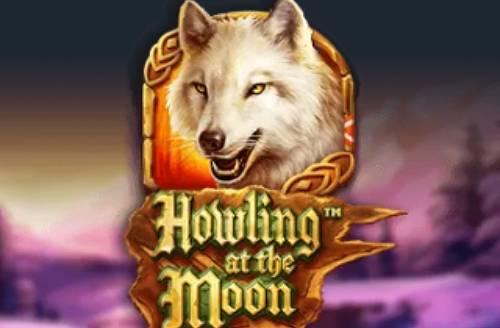 Howling At The Moon