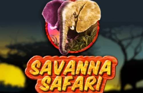 Savanna Safari