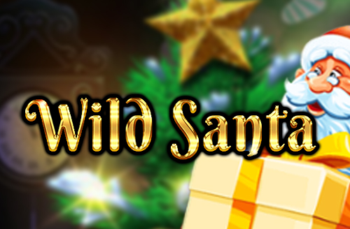 Wild Santa